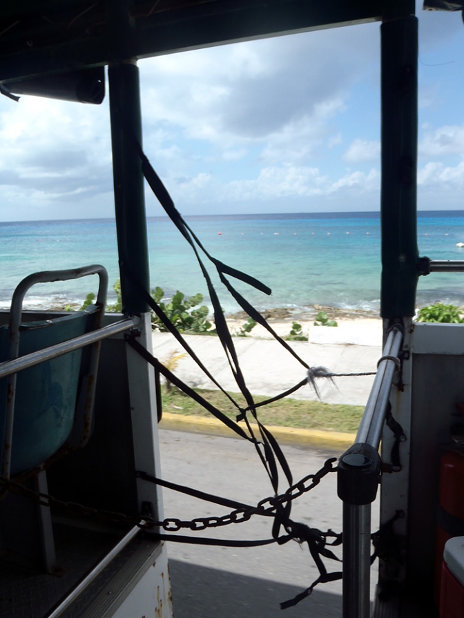 Our door on the jeep, but the view was great!